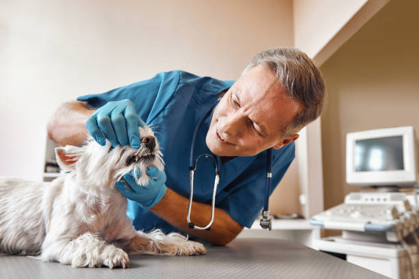 Best Emergency Dental Extractions in Greenfield, MO
